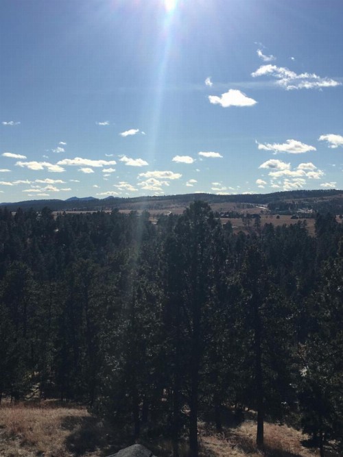 Priceless Black Hills View - image 4