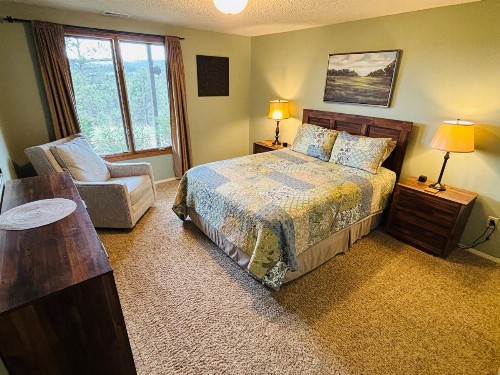Priceless Black Hills View - image 44