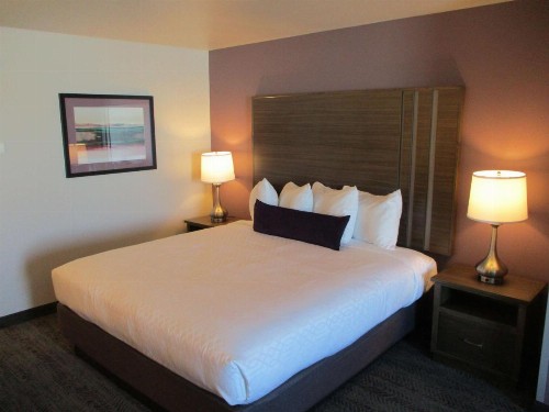 Best Western Plus Rapid City Rushmore - image 12