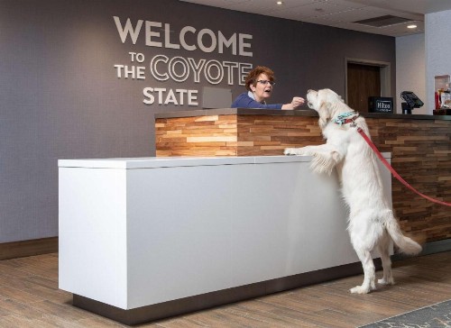 Hampton Inn & Suites Rapid City Rushmore SD - image 3
