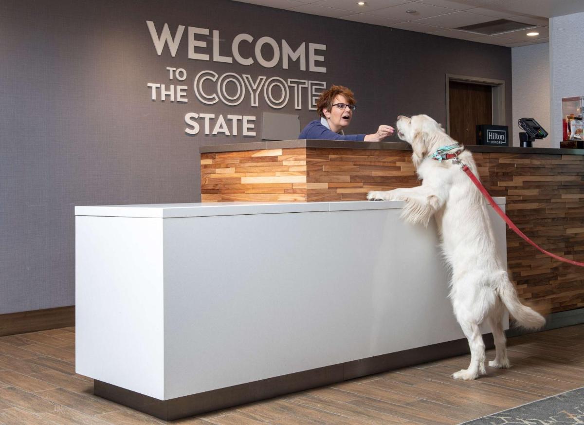 Hampton Inn & Suites Rapid City Rushmore SD - image 3