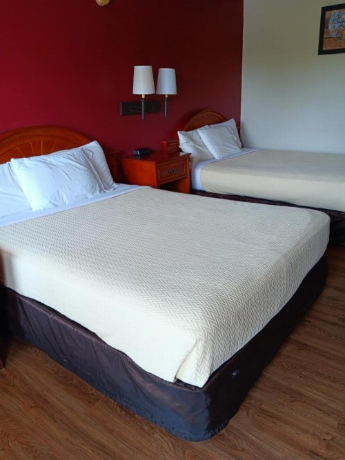 Econo Lodge Northeast - image 11