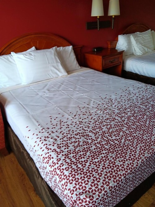 Econo Lodge Northeast - image 16