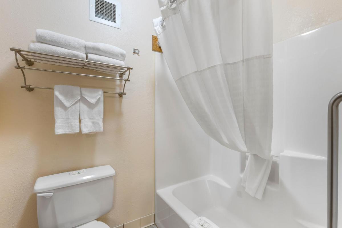 Quality Inn - image 7