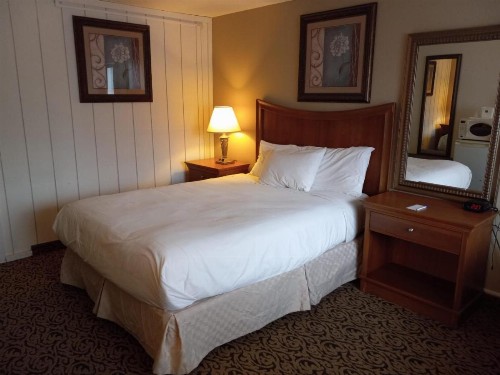 Lupine Inn - image 2