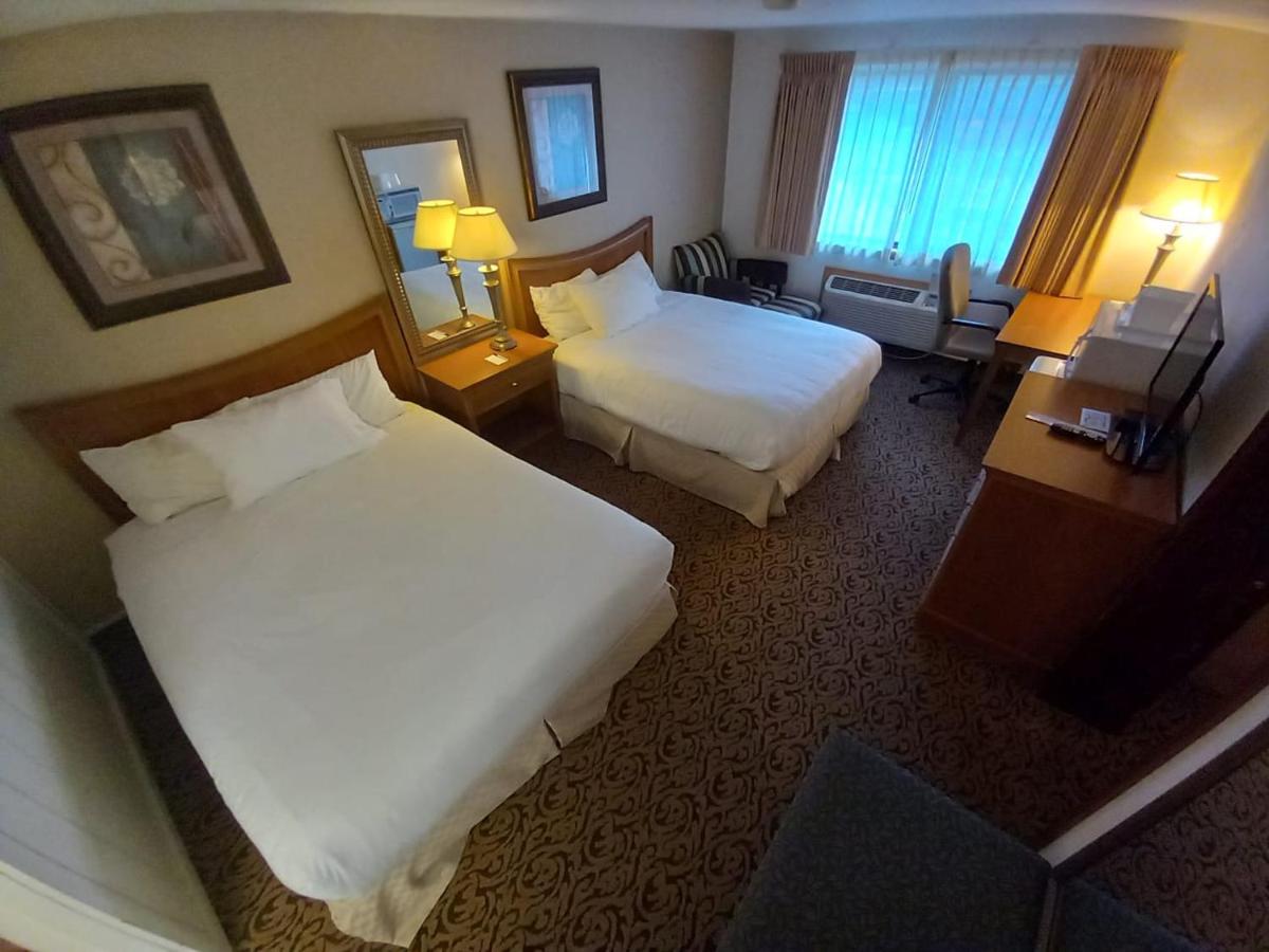 Lupine Inn - image 3