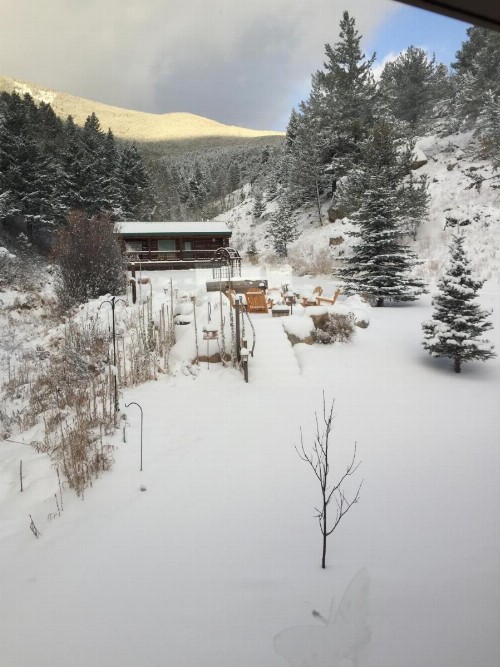 Two Bears Inn Bed & Breakfast - image 4