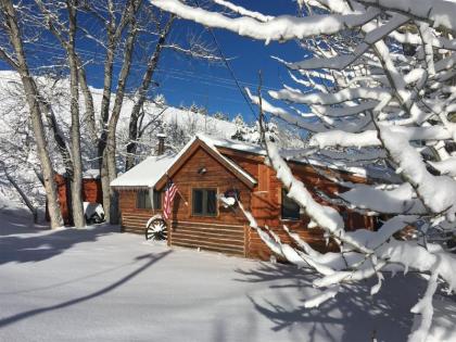 Creekside Shamrock Cabin by AAA Red Lodge Rentals