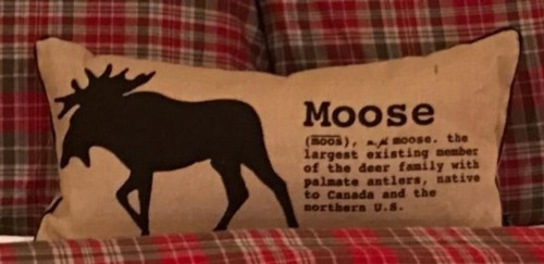 Moose on the Loose - image 25