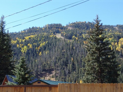 Deer Lodge - image 13