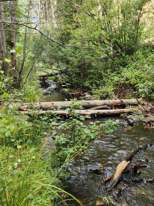 Cabin by the Creek - image 2