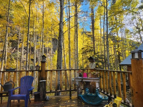 Cabin by the Creek - image 7