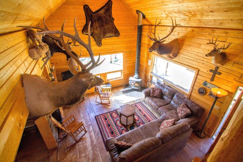 Wiggin's Cabin in Upper Valley - image 2