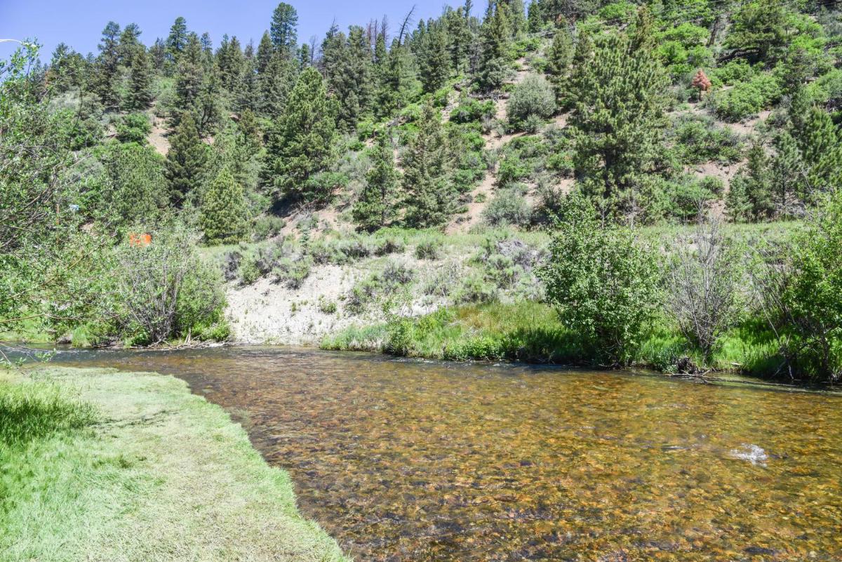Peaceful Rivers Edge on Tenderfoot - image 5