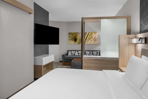 SpringHill Suites by Marriott Riverside Redlands - image 29