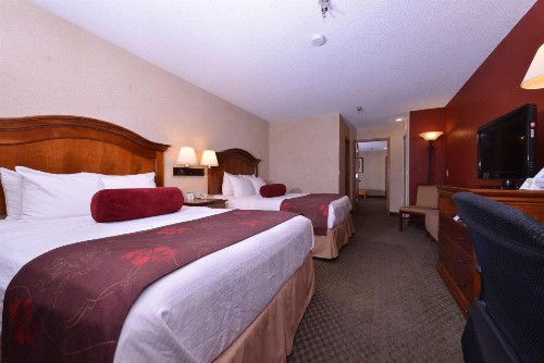 Best Western Plus Rama Inn - image 19