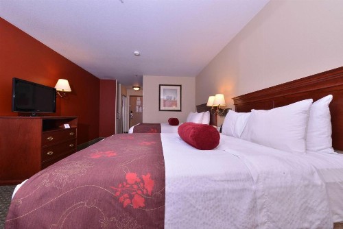 Best Western Plus Rama Inn - image 25