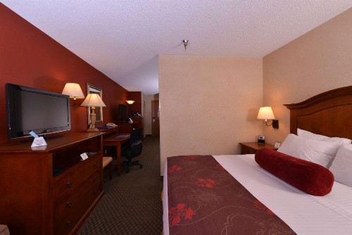 Best Western Plus Rama Inn - image 27
