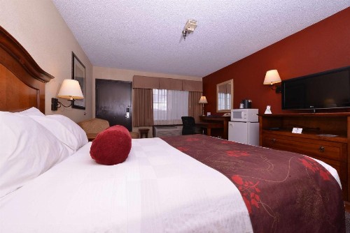 Best Western Plus Rama Inn - image 33