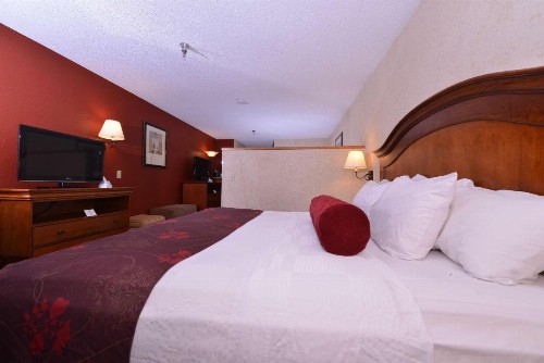 Best Western Plus Rama Inn - image 39