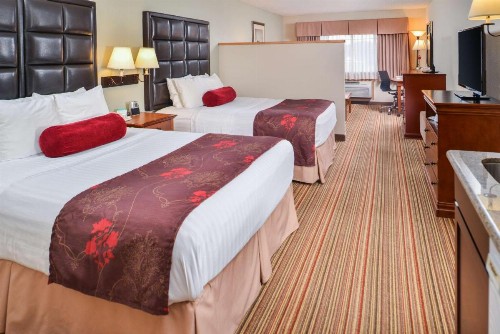 Best Western Plus Rama Inn - image 44