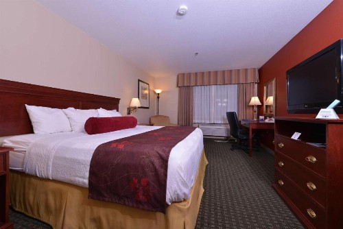 Best Western Plus Rama Inn - image 8