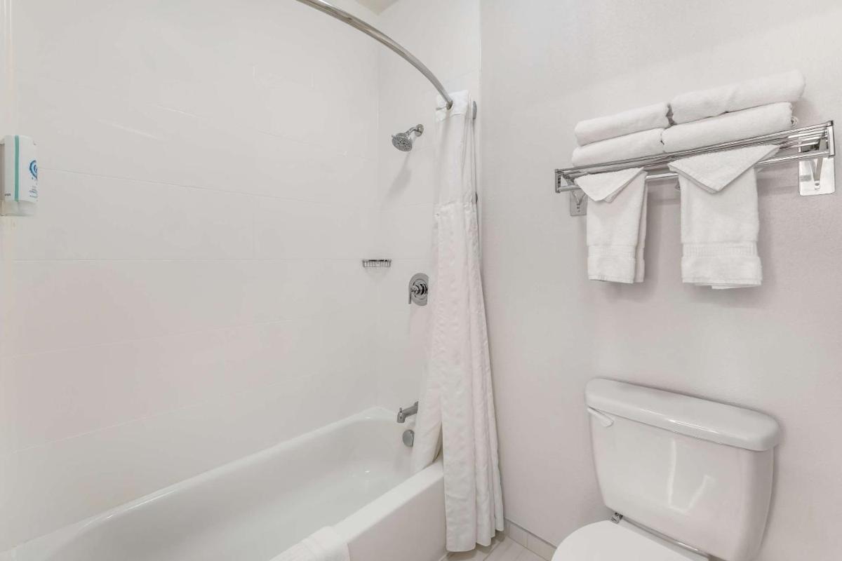 Comfort Suites Redmond Airport - image 2