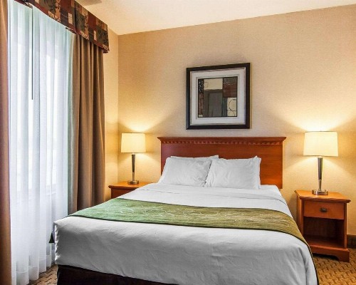 Comfort Suites Redmond Airport - image 26