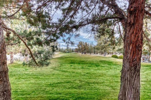 Ridge & Pine - image 12