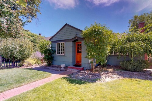 Dogwood Charmer - image 7