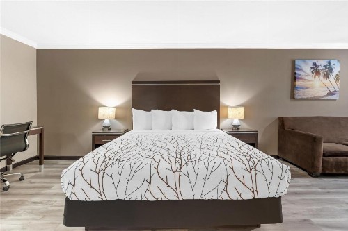 Best Western Redondo Beach Galleria Inn - Los Angeles LAX Airport Hotel - image 14