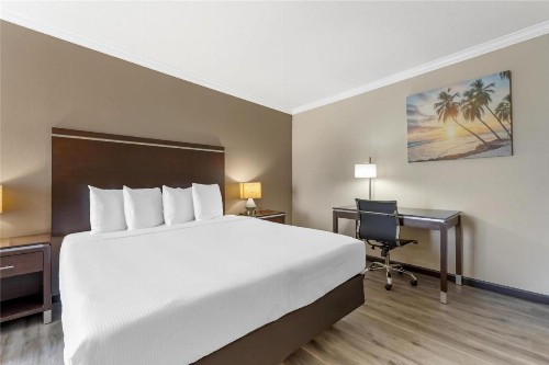 Best Western Redondo Beach Galleria Inn - Los Angeles LAX Airport Hotel - image 18
