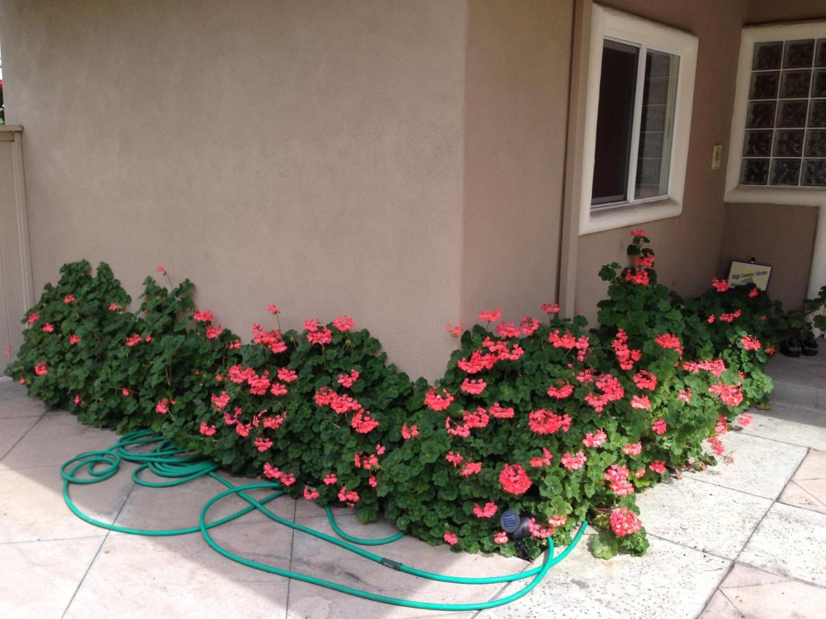 Redondo Beach / Hermosa Beach - image 3