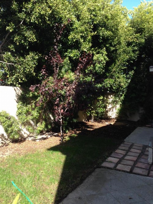 Redondo Beach / Hermosa Beach - image 31