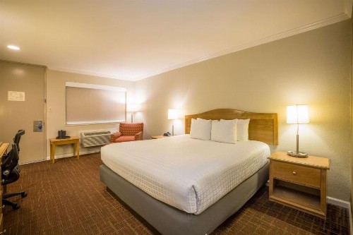 Best Western Inn - image 2