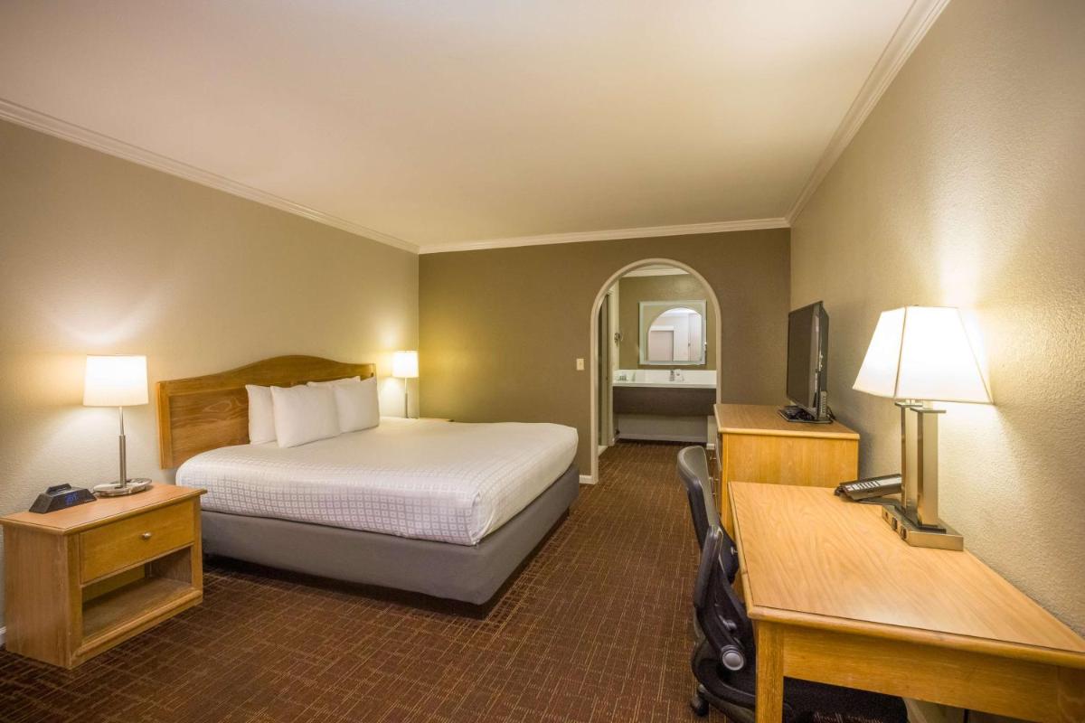 Best Western Inn - image 7