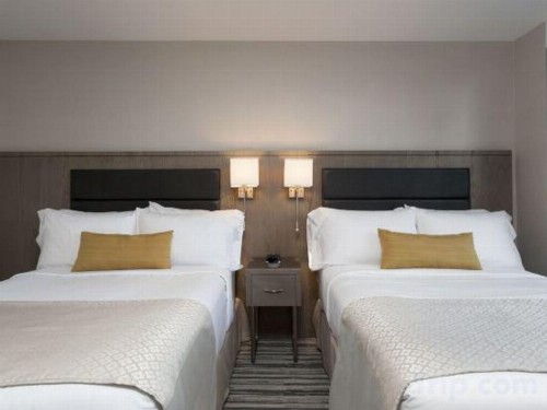 Wyndham Garden LaGuardia South - image 20