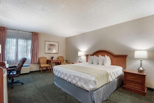 SureStay Plus Hotel by Best Western Reno Airport - image 35