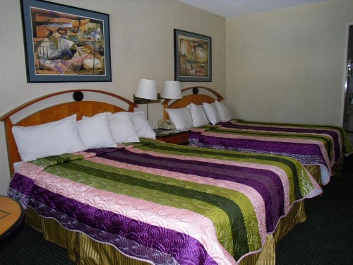 Vagabond Inn Reno - image 1