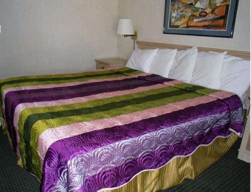 Vagabond Inn Reno - image 3