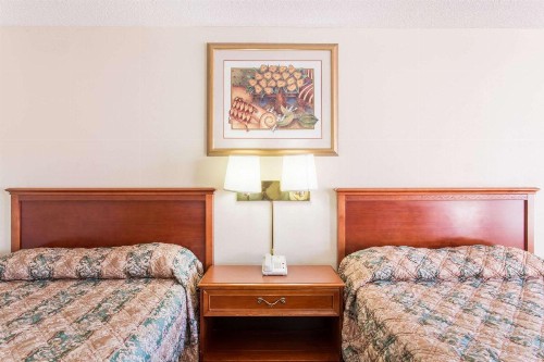 Super 8 by Wyndham Meadow Wood Courtyard - image 11