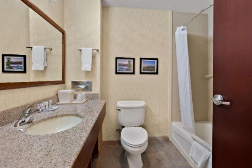 Comfort Inn & Suites Airport Reno - image 7
