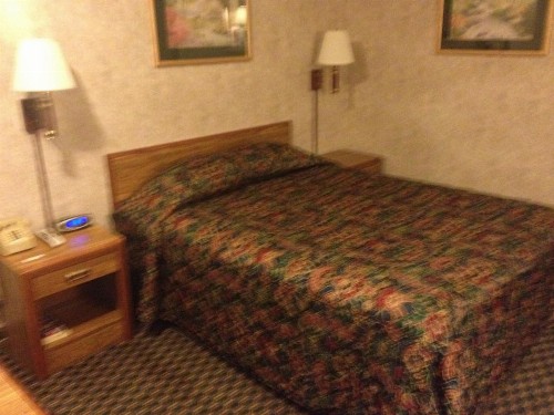 Richmond Inn and Suites - image 3