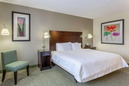 Hampton Inn Richmond - South - image 9