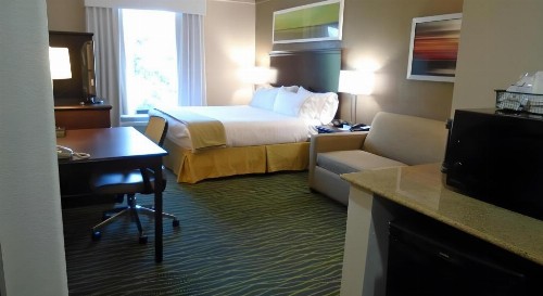 Holiday Inn Express Hotel & Suites Midlothian Turnpike an IHG Hotel - image 34