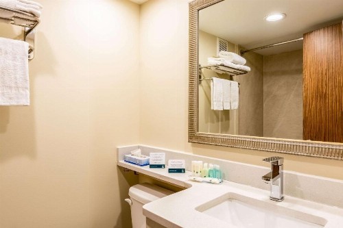 Quality Inn Central - image 21