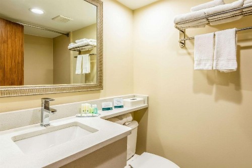 Quality Inn Central - image 4