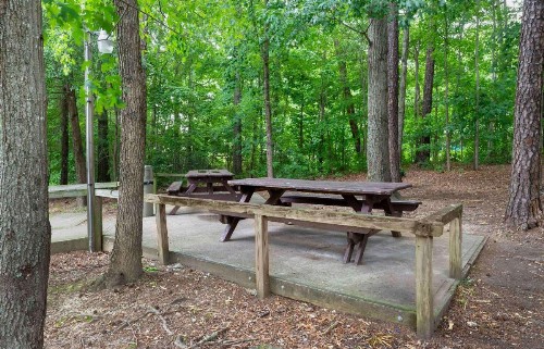 Extended Stay America Suites - North Chesterfield - Arboretum - image 47