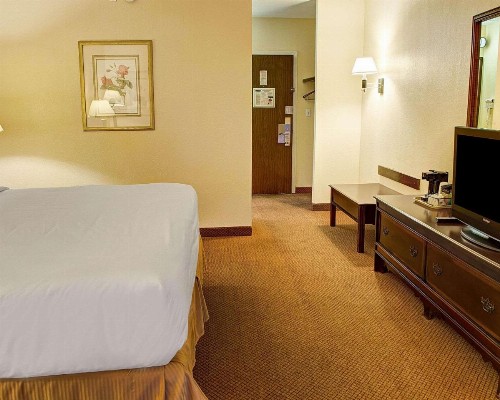 Quality Inn North - image 10