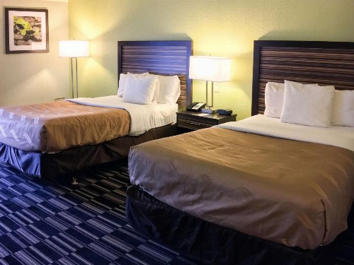Quality Inn North - image 11